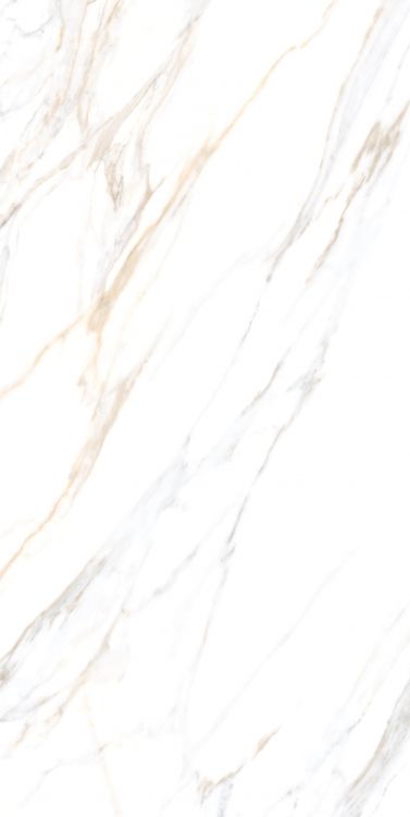 Aurum Calacatta Polished 24 x 48